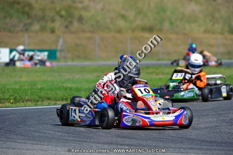 DSC_ (1318).jpg